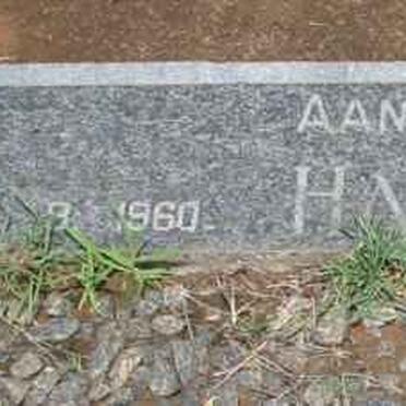 HARTOGH David 1878-1960 &amp; Hel... 1879-195?