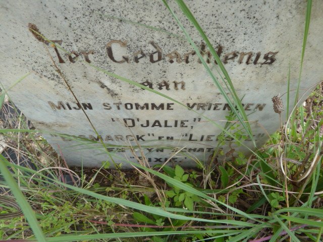 ? D'jalie :: Bismarck :: Liefste :: Pixie