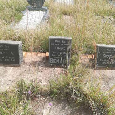 BENADE Andries A. 1873-1957 &amp; Cornelia W. HERN 1873-1956 :: BENADE Edmund 1899-1917