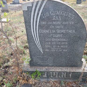 FOURIE Cornelia Dorethea nee ODENDAAL 1878-1950