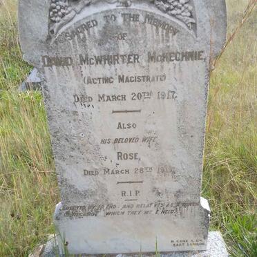 McKECHNIE David McWhirter -1917 &amp; Rose -1919