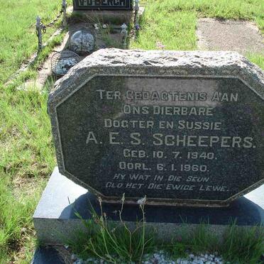 SCHEEPERS A.E.S. 1940-1960