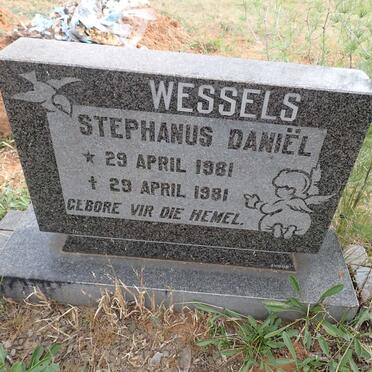 WESSELS Stephanus Daniel 1981-1981