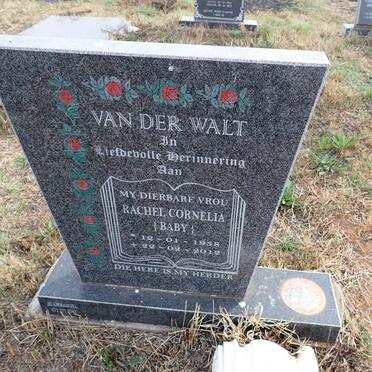 WALT Rachel Cornelia, van der 1938-2012