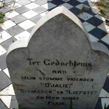 ZUURDEEG D. 1865-1908 &amp; Koosje