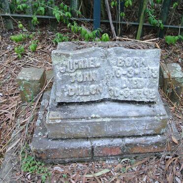 DILLON Michael John 1918-1992