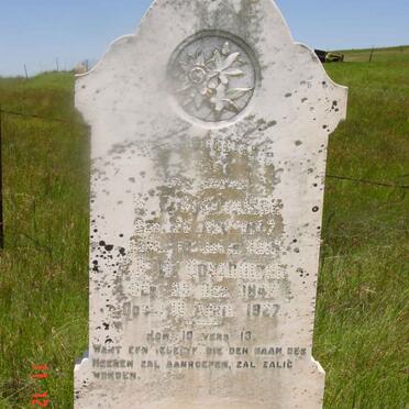 Free State, HARRISMITH district, Swinburne, Gegund 532, farm cemetery_1