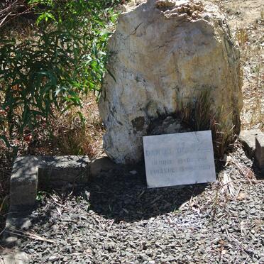 COETZEE Daniel 1914-1983