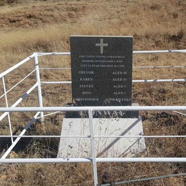 Free State, HARRISMITH district, Warden, N3, Leeubank 118, roadside memorial