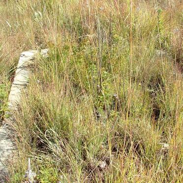 Free State, HARRISMITH district, Golden Gate, General Will 623, Mount Pierre, farm cemetery