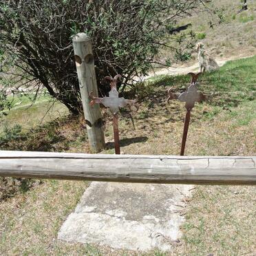 2. Overview / Oorsig