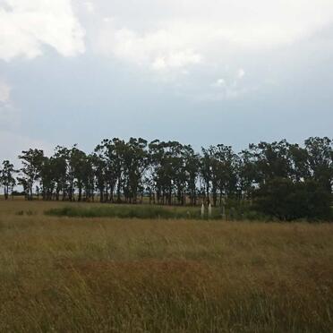 1. Overview / Oorsig