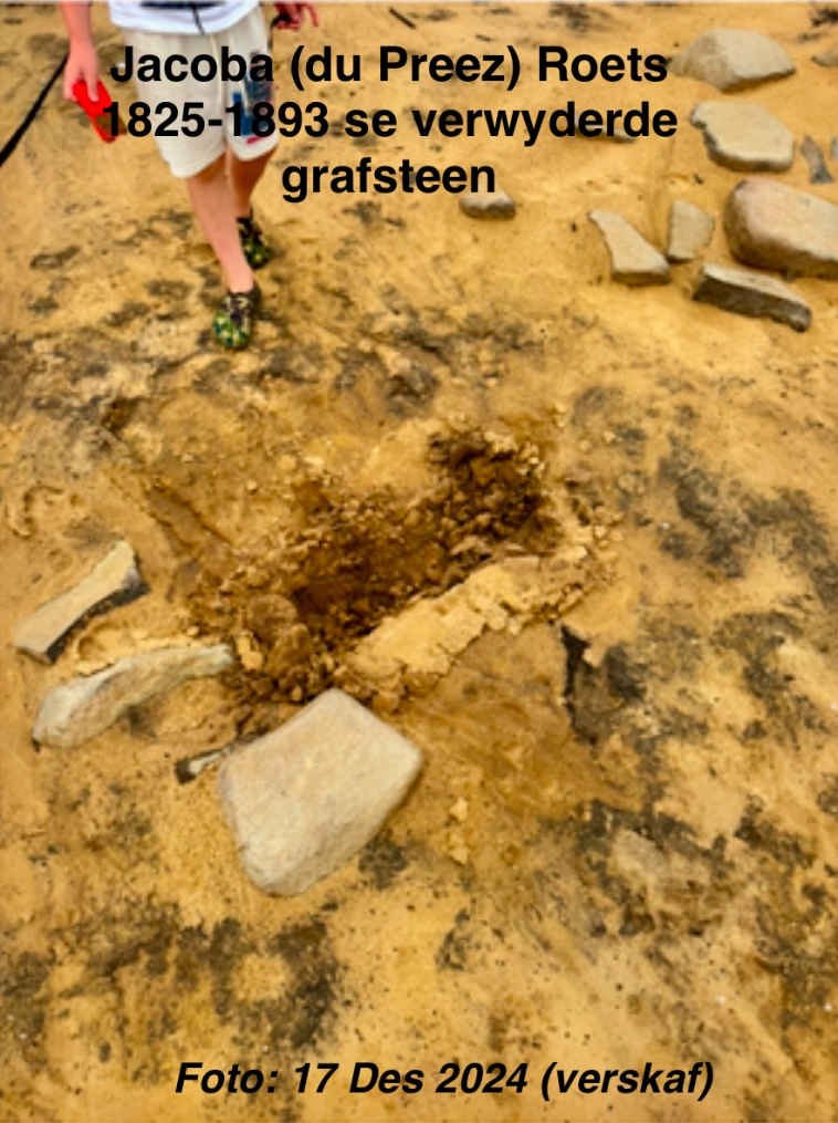 11. Oorsig / Overview