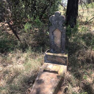 3. Oorsig / Overview