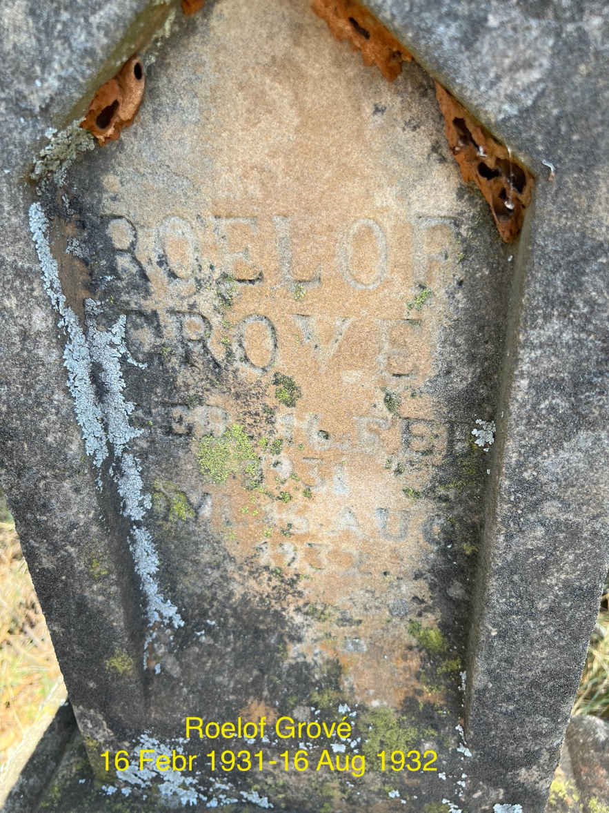 GROVE Roelof 1931-1931