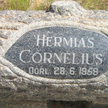 STRAUSS Hermias Cornelius -1959 &amp; Elizabeth Jacoba -1975