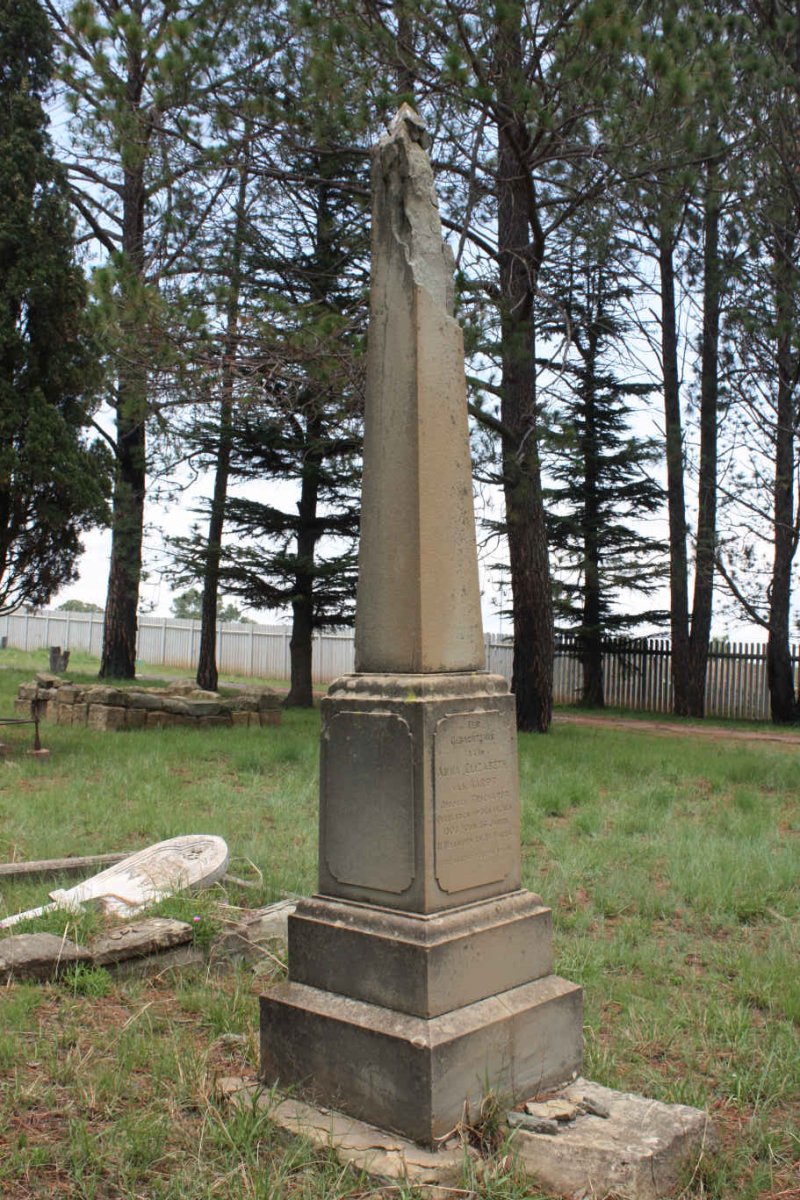 AARDT Anna Elizabeth, van nee TRICHARDT -1905