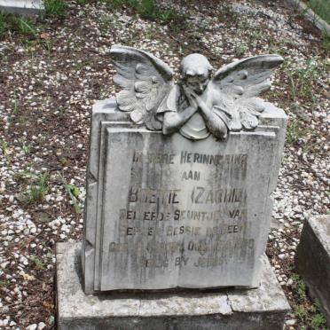 BEER Zachie, de 1939-1940