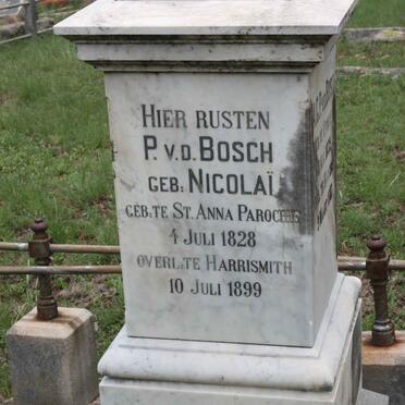 BOSCH, v.d. :: NICOLAI