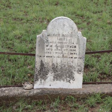 REYNOR James Robert -1904