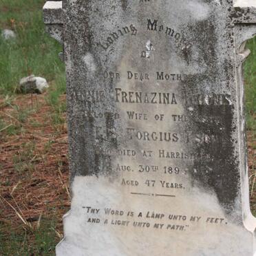 TORGIUS Annie Frenazina -1893