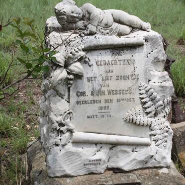 WESSELS -1895