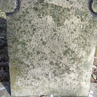 DIPPENAAR Anna Susanna nee NAUDE 1840-1901