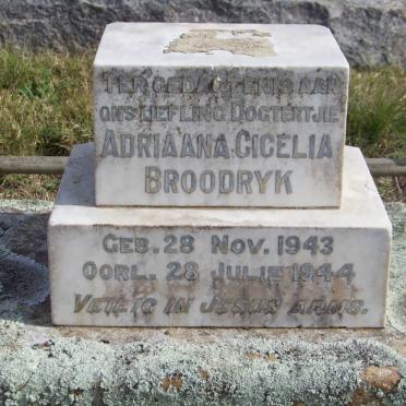 BROODRYK Adriaana Cicelia 1943-1944