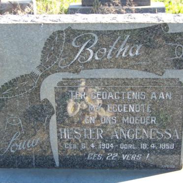 BOTHA Hester Angenessa nee LOUW 1904-1958