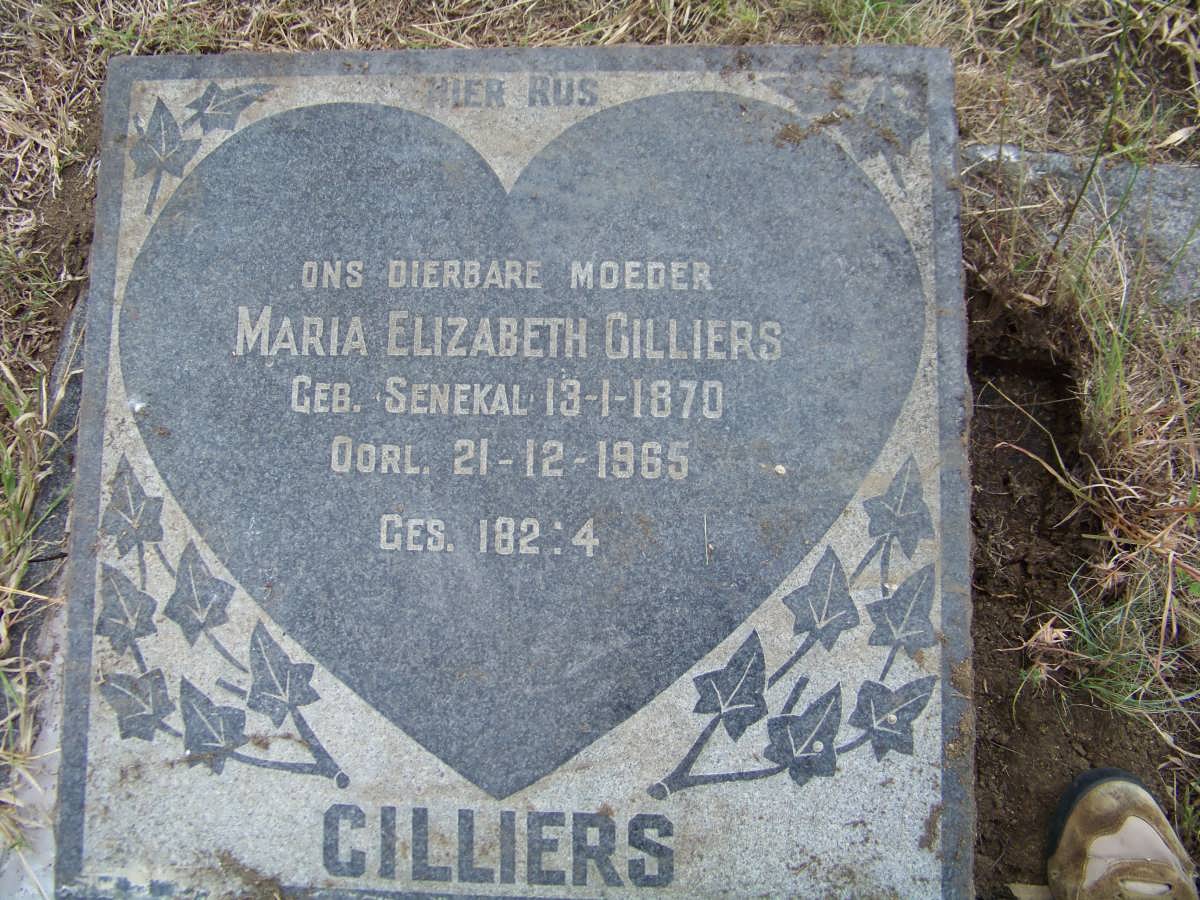 CILLIERS Maria Elizabeth nee SENEKAL 1870-1965