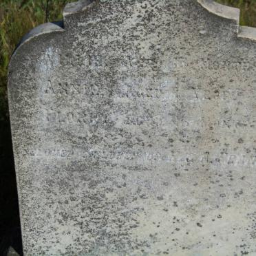 FRANCIS Willie :: FRANCIS Annie :: FRANCIS Florry