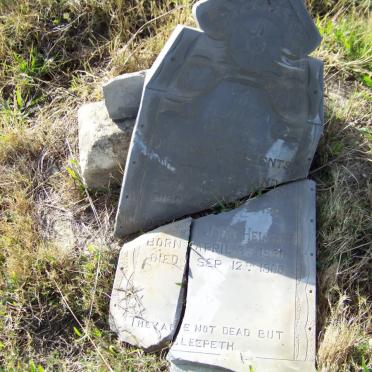 HELMAND Joseph John 1840-1900 &amp; Nettie 1874-1901