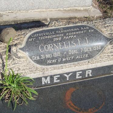 MEYER Cornelis F.J. 1915-1958