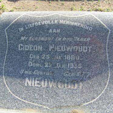 NIEUWOUDT Gideon 1880-1935