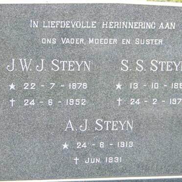STEYN J.W.J. 1878-1952 &amp; S.S. 1880-1975 :: STEYN A.J. 1913-1931