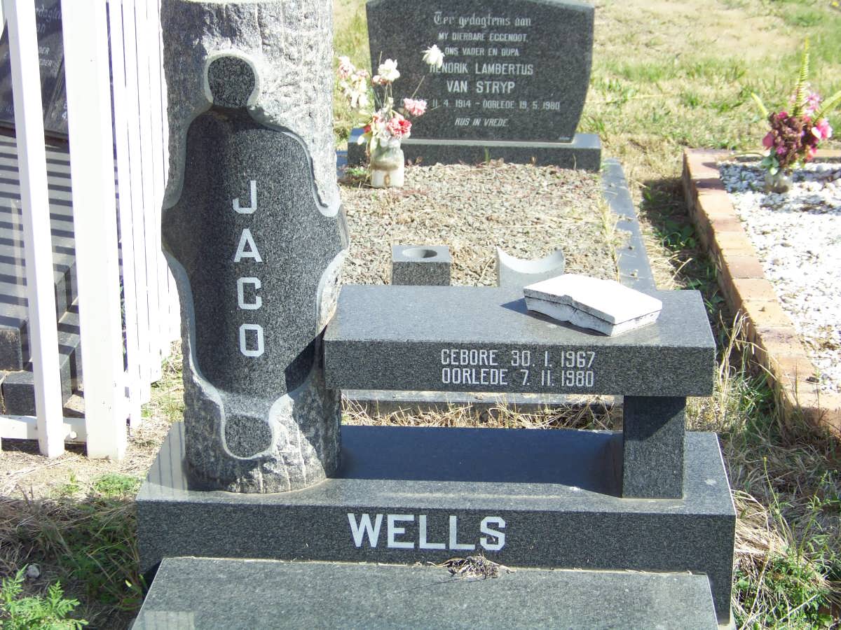 WELLS Jaco 1967-1980