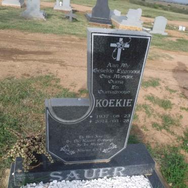 SAUER Koekie 1937-2014