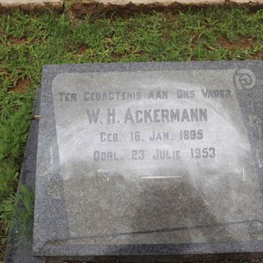 A - Surnames :: Vanne - A