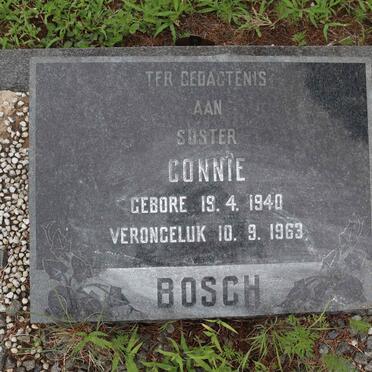 BOSCH Connie 1940-1963