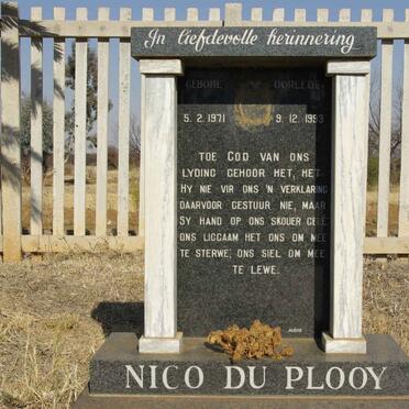 PLOOY Nico, du 1971-1993