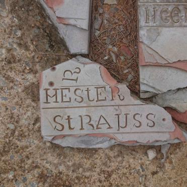 STRAUSS Hester 1842-1888
