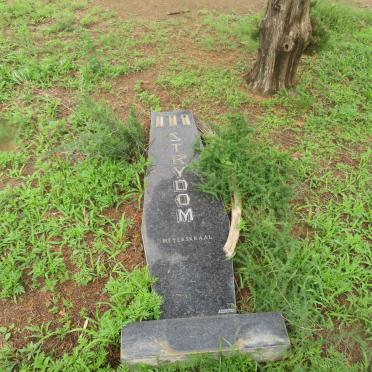 STRYDOM Johannes Hendrik 1909-1974