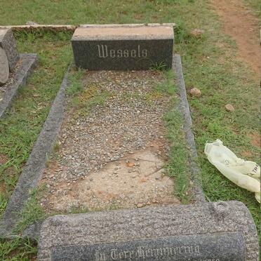 WESSELS Petrus Gerhardus Lourens 1867-1948 