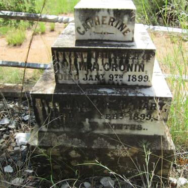 CRONIN Catherine -1899 :: CRONIN Margaret Mary -1899