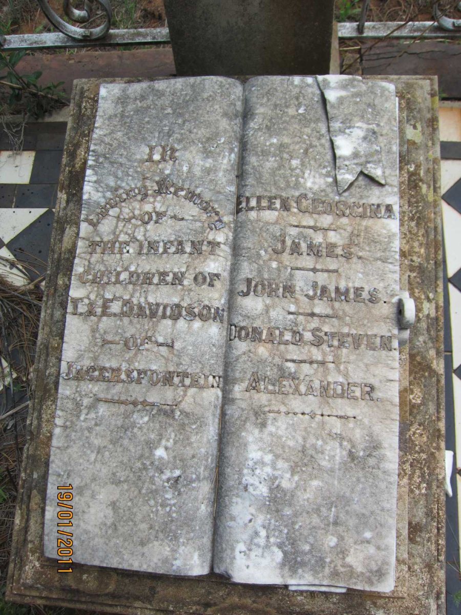 DAVIDSON Ellen Georgina :: DAVIDSON James :: DAVIDSON John James :: DAVIDSON Donald Steven :: DAVIDSON Alexander