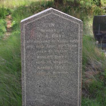 DOVE ? A. -1892 :: DOVE Voilet  :: DOVE Samuel