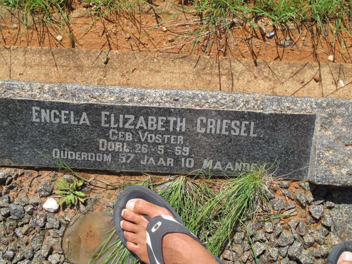 GRIESEL Engela Elizabeth nee VOSTER -1959