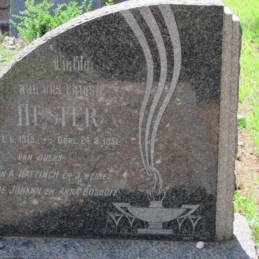 HATTINGH Hester 1919-1951