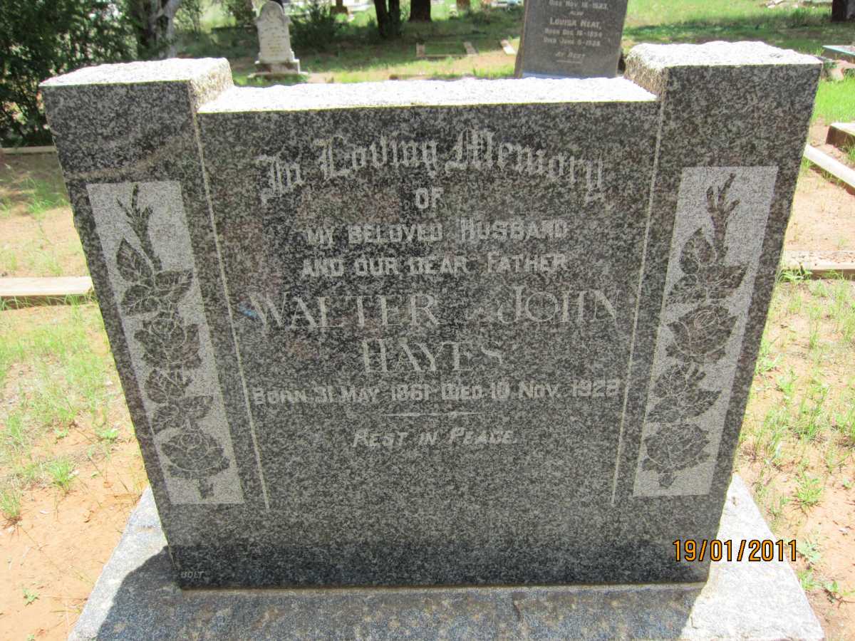 HAYES Walter John 1861-1928