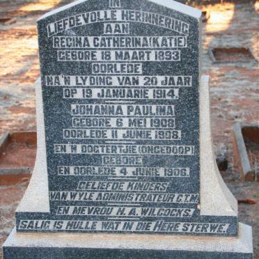 WILCOCKS Regina Catherina 1893-1914 :: WILCOCKS Johanna Paulina 1908-1908 :: WILCOCKS -1906